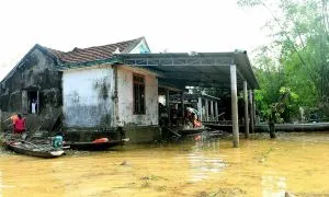 Hai bé trai song sinh tử vong ở sân nhà